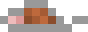 Rat